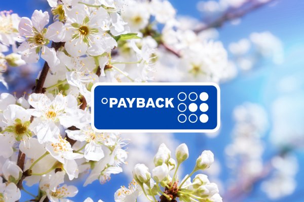 Payback Special InterCity & Steigenberger Hotels Vorschau