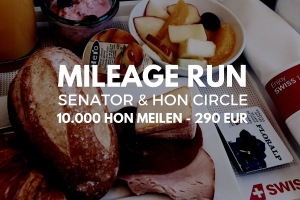 Swiss Business Class Senator HON Circle Mileage Run Vorschau