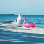 Review JA Manafaru Maldives Einhorn und Flamingo