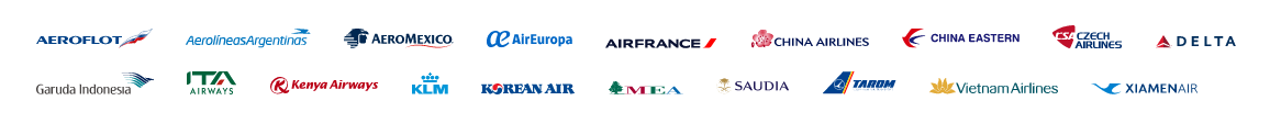 Mitglieder der SkyTeam-Allianz inklusive Aeroflot