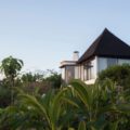 Royal Palm Galapagos Curio Collection by Hilton